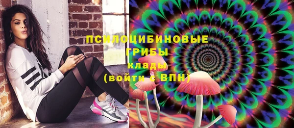 стаф Алексин