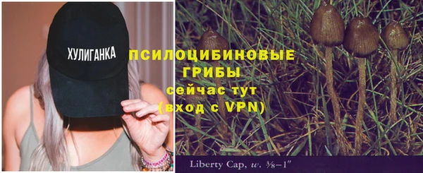 не бодяженный Абаза