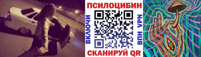 Псилоцибиновые грибы Psilocybine cubensis Лодейное Поле