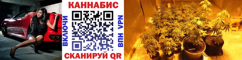 МАРИХУАНА семена  Лодейное Поле 